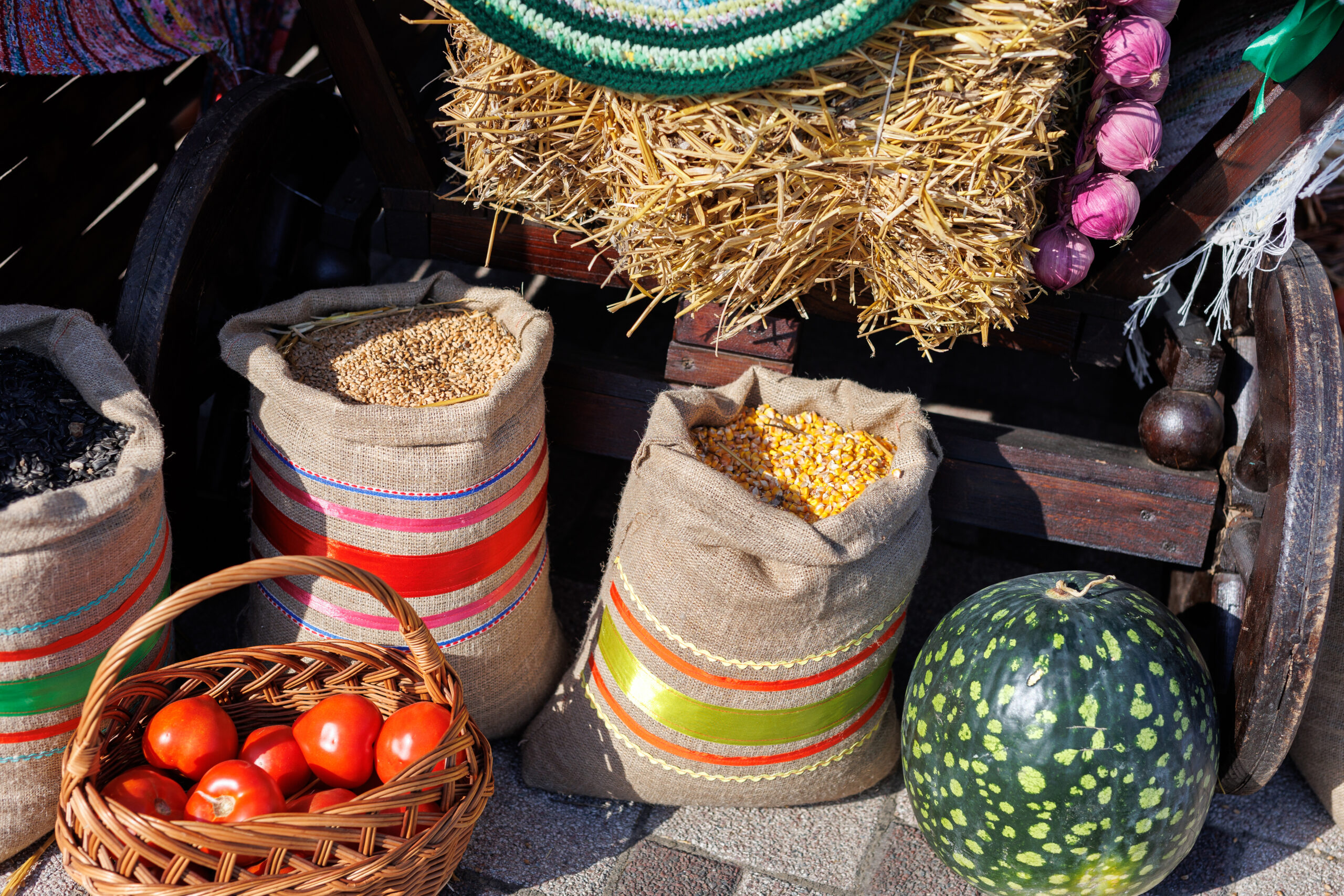 Food fair. Vegetables and grains at the farmer's market